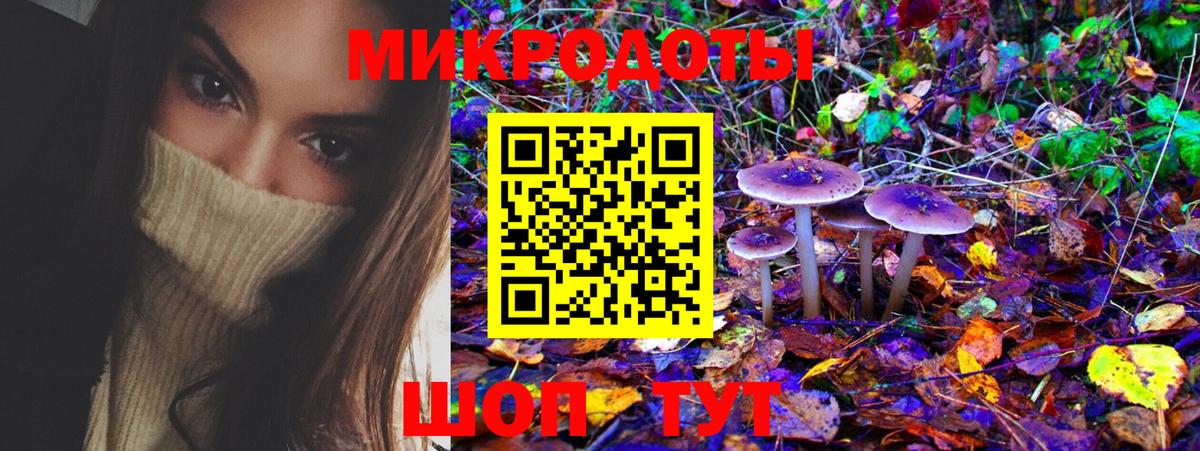 Галлюциногенные грибы прущие грибы Ростов Великий
